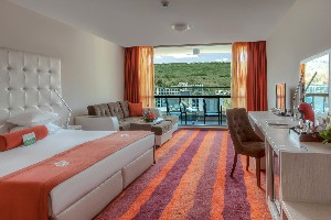 superior park view king size bed