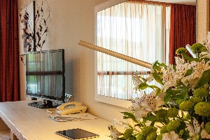 Superior Room Park View