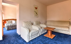 family room garden view