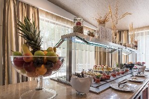 Hotel LION BOROVETS wakacje