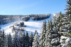Hotel PYTLOUN WELLNESS HOTEL HARRACHOV wakacje