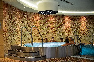 Hotel WELLNESS HOTEL ANTONIE wakacje
