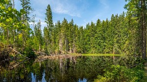 Boubínské jezero