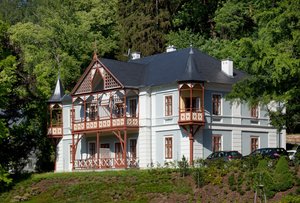 Alpská růže