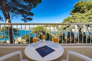 Standard Room with Balcony and Sea 