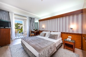 Standard Room with Balcony and Sea View