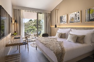 Superior room, balcony, parkview