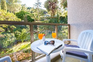 Standard Room with Balcony and Park View