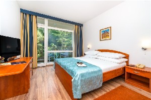 Dvoulůžkový pokoj 