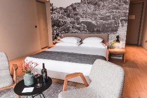 Premium Room with Balcony