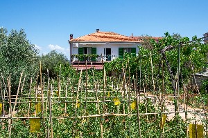 Apartmány