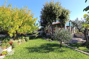 Zahrada
