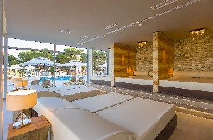 Spa and wellness