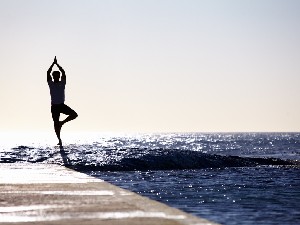 Joga