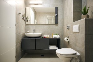 2 Bedroom Apartment (Balcony)