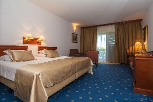 Superior Room (SeaView, Balcony or Terrace)