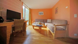 Large FamilyRoom