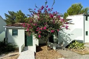 Hotel ZATON HOLIDAY RESORT - 4* APARTMENTS wakacje