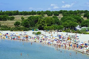 Hotel ZATON HOLIDAY RESORT - 4* APARTMENTS wakacje