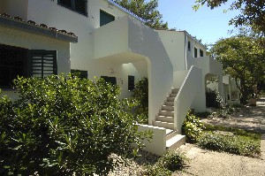 Hotel ZATON HOLIDAY RESORT - APARTMENTS wakacje