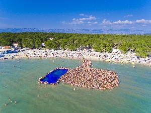 Hotel ZATON HOLIDAY RESORT - APARTMENTS wakacje