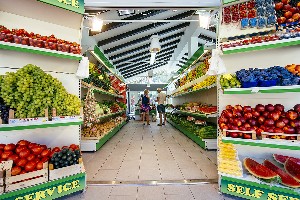 Hotel ZATON HOLIDAY RESORT wakacje