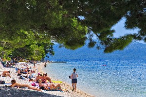 Hotel SAUDADE wakacje