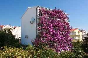 Apartmán