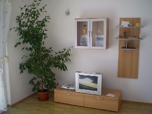 Tomislav apartmány v soukromí - apartmán pro 4 osoby ve 2. patře - Omiš-Duće - 101 CK Zemek - Chorvatsko