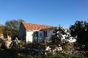 Ubytování