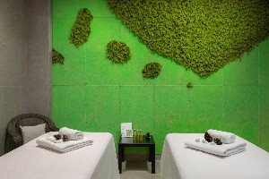 Spa and wellness