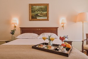 Single Standard Room (Park View)