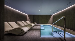Spa and wellness