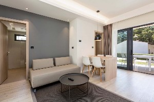 2 Bedroom Classic FamilyApartment (Park View)
