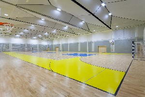 Hotel VALAMAR DIAMANT HOTEL & RESIDENCE wakacje