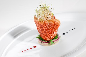 Hotel VALAMAR DIAMANT HOTEL & RESIDENCE wakacje