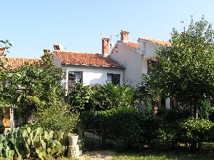 Studio obklopené zelení