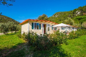 Hotel CAMPING OLIVA wakacje