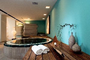 Spa and wellness