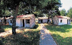 Vila