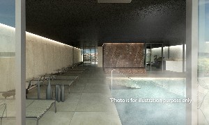 Spa and wellness