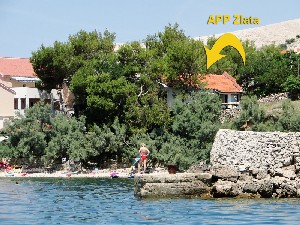 APP Zlata