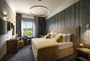 Superior Double Room Parkview