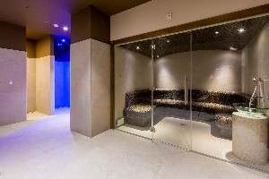 Spa and wellness