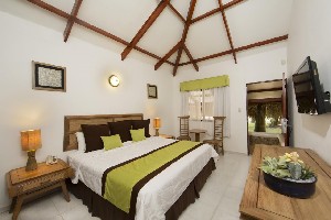 Hotel VIVA WYNDHAM DOMINICUS BEACH wakacje