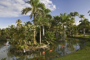 Hotel MELIA CARIBE BEACH wakacje