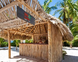 Catalonia Royal Bavaro Adults Only