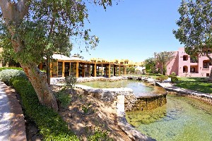 Hotel THREE CORNERS RIHANA RESORT wakacje