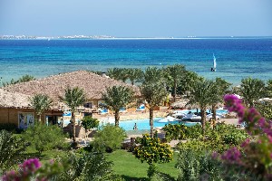 Hotel AMWAJ BEACH CLUB ABU SOMA wakacje