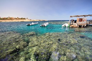 Iberotel Lamaya 5* (5*)